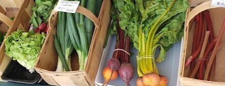 Meet Your Farmer: Orr's Farm